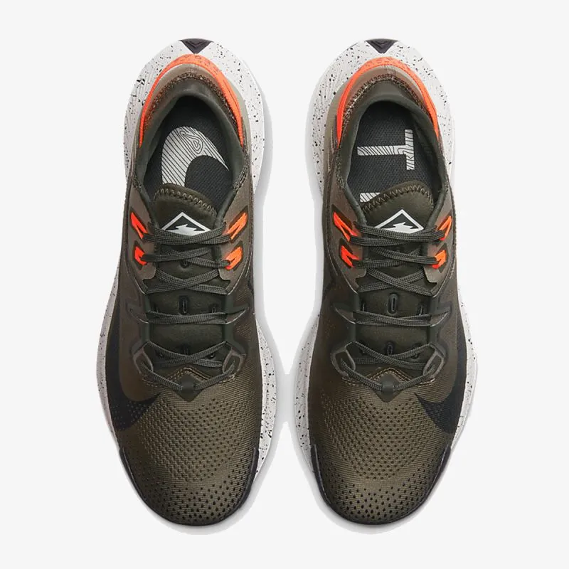 Nike Pegasus Trail 2 