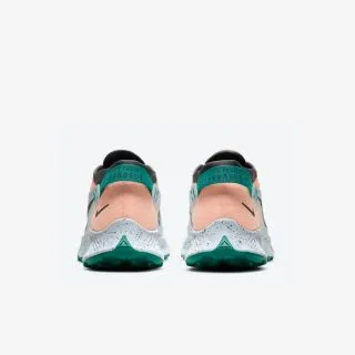 Nike Pegasus Trail 2 