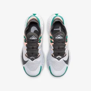 Nike Pegasus Trail 2 
