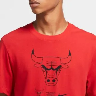Nike CHI M NK DRY TEE ES LOGO 