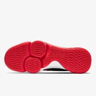Nike LEBRON WITNESS V 