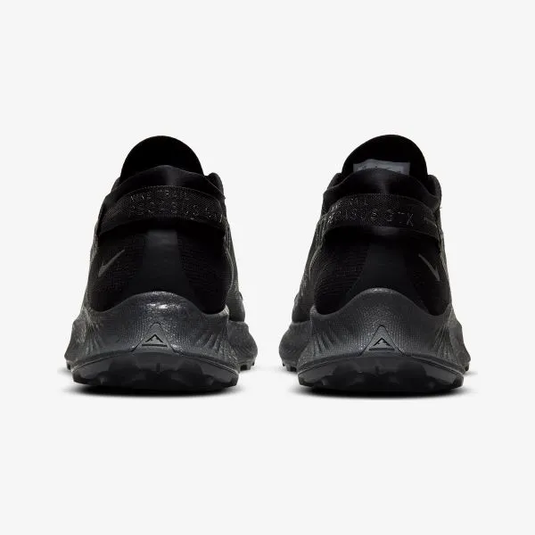 Nike Pegasus Trail 2 GORE-TEX Men's Trail Running Shoe 