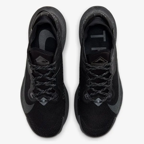 Nike Pegasus Trail 2 GORE-TEX Men's Trail Running Shoe 