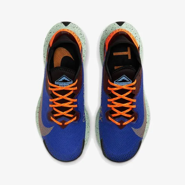 Nike NIKE PEGASUS TRAIL 2 GTX 