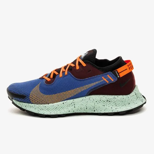 Nike NIKE PEGASUS TRAIL 2 GTX 
