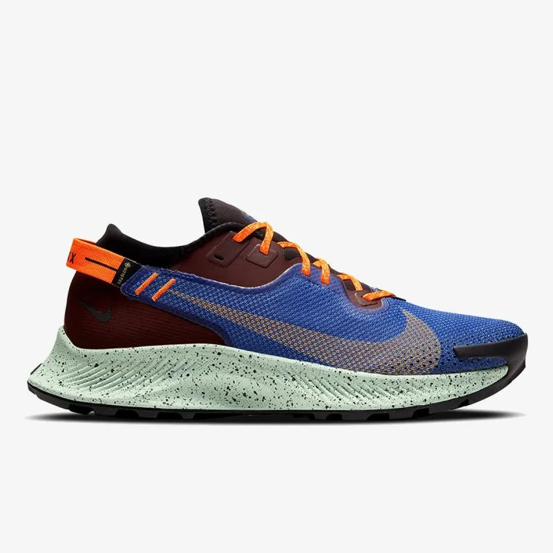 Nike NIKE PEGASUS TRAIL 2 GTX 
