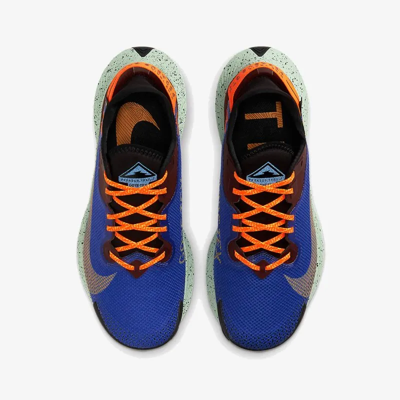 Nike NIKE PEGASUS TRAIL 2 GTX 
