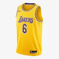 Nike Los Angeles Lakers Icon 