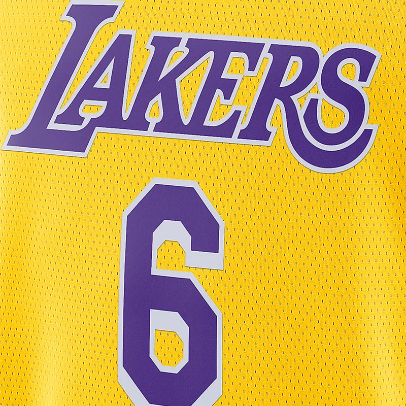 Nike Los Angeles Lakers Icon 
