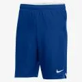 Nike DRY ACADEMY 21 