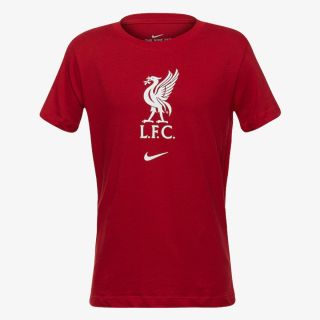 Nike Nike Liverpool FC 