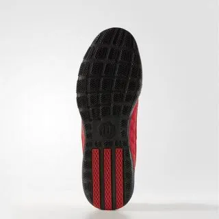 adidas D ROSE DOMINATE 2016 