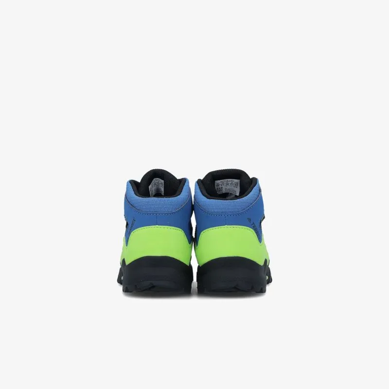 adidas TERREX MID GTX 