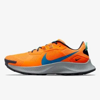 Nike Pegasus Trail 3 