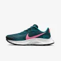 Nike Pegasus Trail 3 