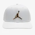 Nike Jordan Pro Ingot 