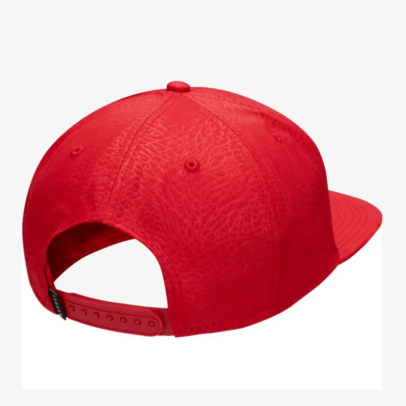 Nike Jordan Pro Ingot 