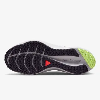 Nike Winflo 8 Shield 