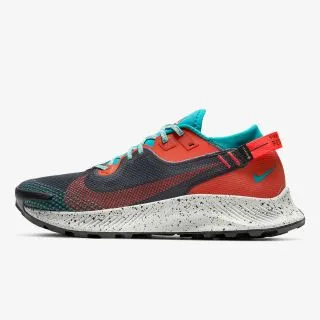 Nike NIKE PEGASUS TRAIL 2 GTX TH 