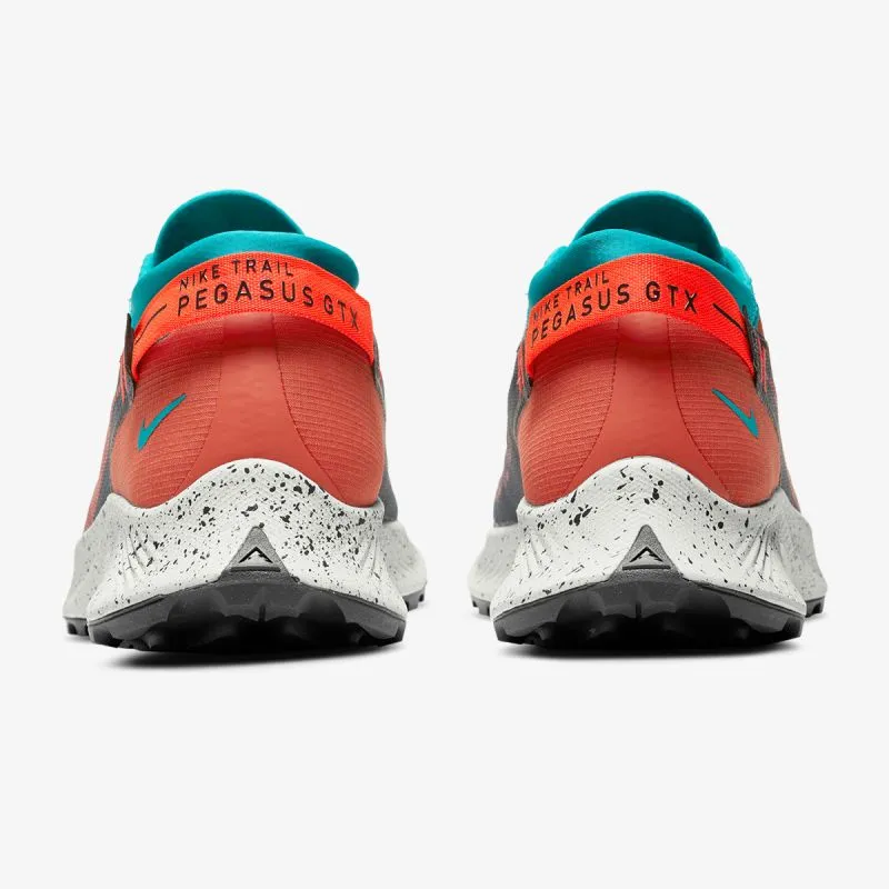 Nike NIKE PEGASUS TRAIL 2 GTX TH 