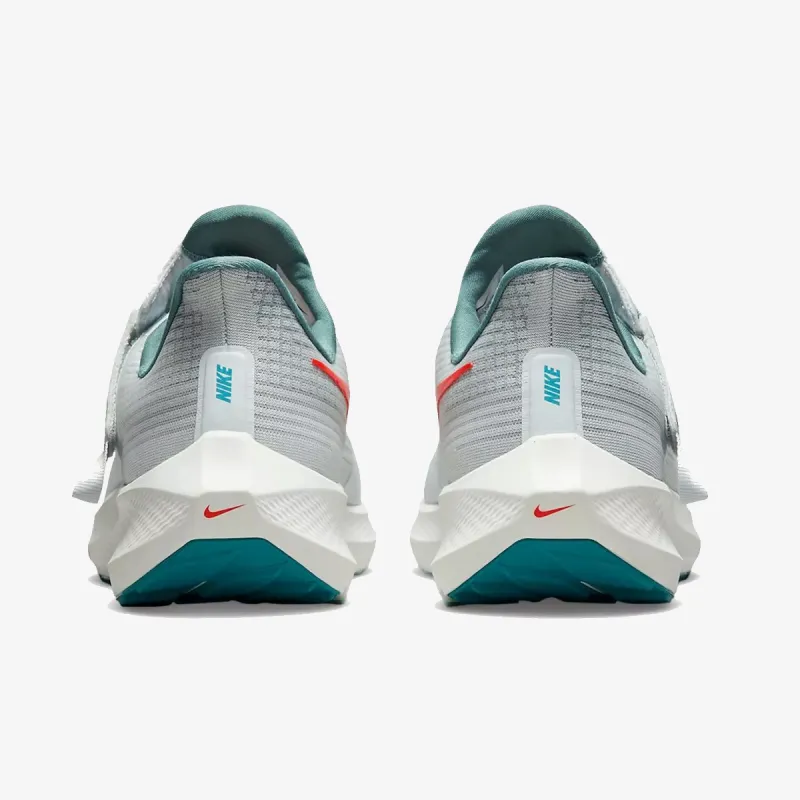 Nike Pegasus 