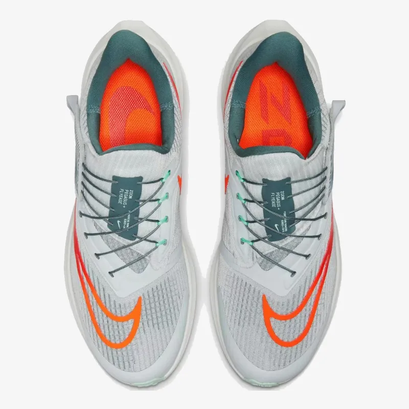 Nike Pegasus 