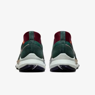Nike Pegasus Trail 4 GORE-TEX 