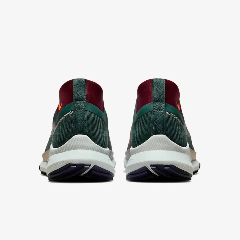 Nike Pegasus Trail 4 GORE-TEX 