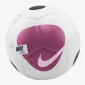 Nike Futsal Maestro 