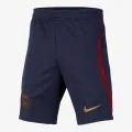 Nike Paris Saint-Germain Strike 