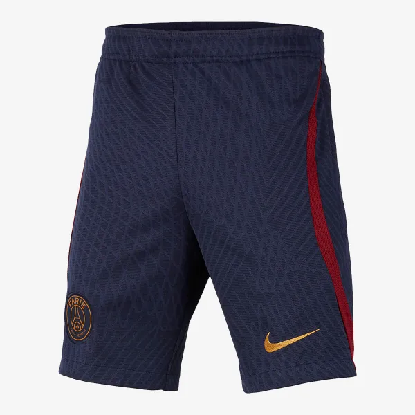 Nike Paris Saint-Germain Strike 