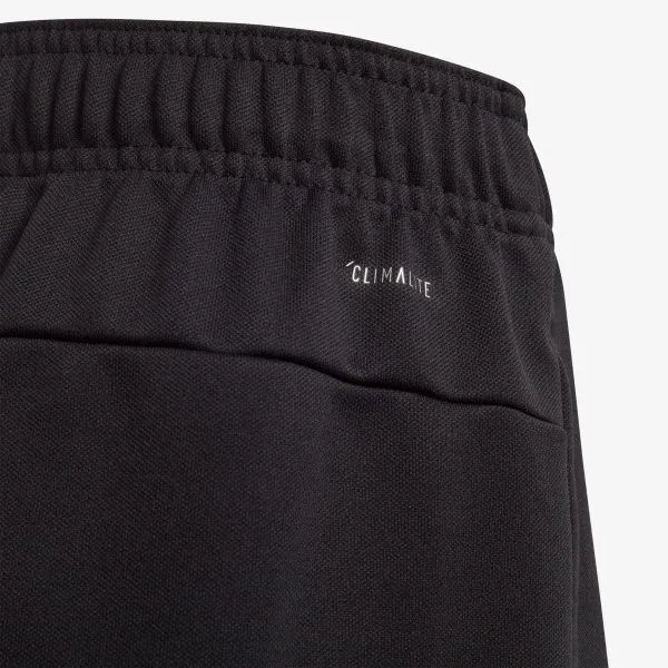 adidas YB TR LIN KN SH 