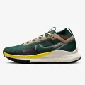 Nike PEG TRAIL 4 GTX 