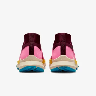 Nike Pegasus Trail 4 GORE-TEX 