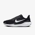 Nike Air Zoom Pegasus 41 