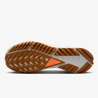 Nike PEG TRAIL 4 GTX 
