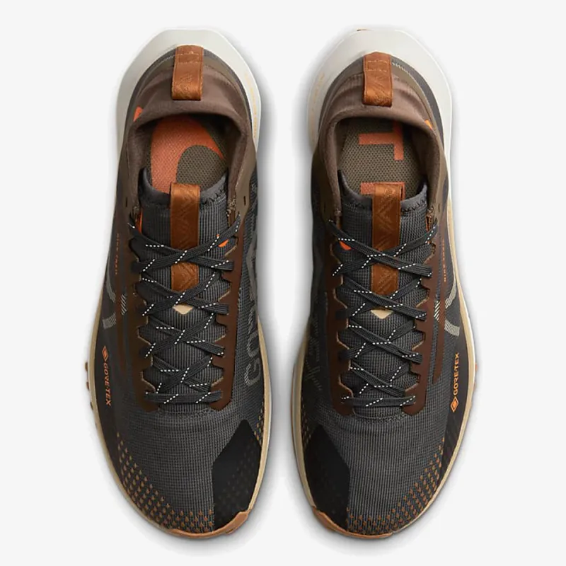 Nike PEG TRAIL 4 GTX 
