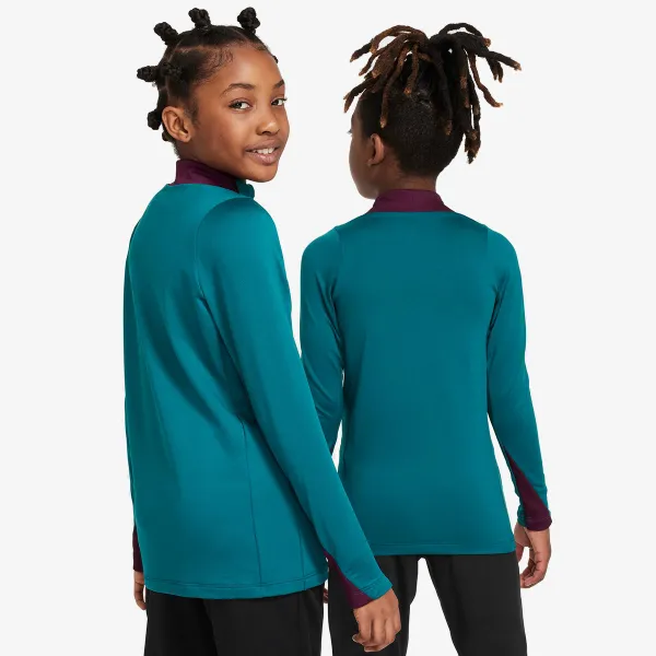 Nike Paris Saint-Germain 