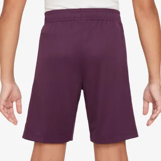 Nike Paris Saint-Germain 