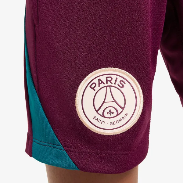 Nike Paris Saint-Germain 