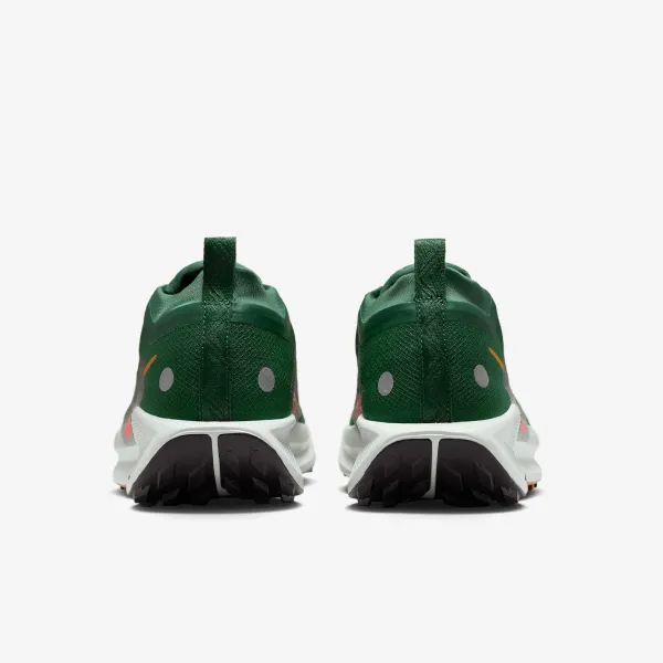 Nike REACTX PEGASUS TRAIL 5 GTX 