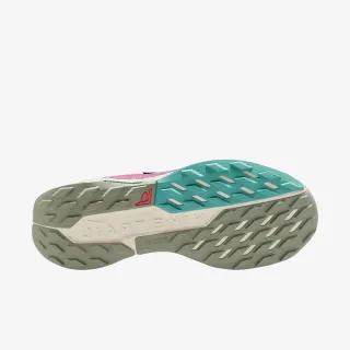 Nike Pegasus Trail 5 Gtx 
