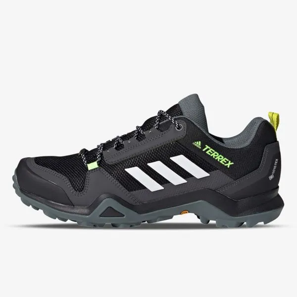 adidas TERREX AX3 GTX 