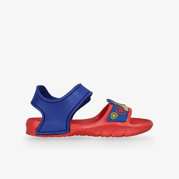 Bds Paw Patrol 