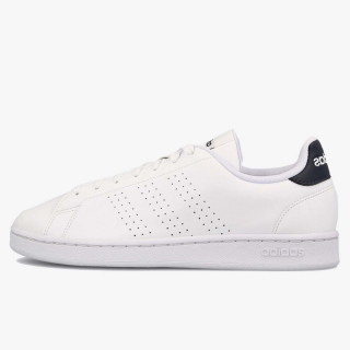 adidas advantage cena