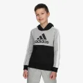 adidas COLORBLOCK FLEECE 