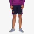 Nike FC Barcelona 
