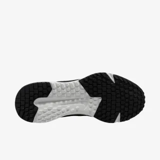 Nike W NIKE RUN DEFY 