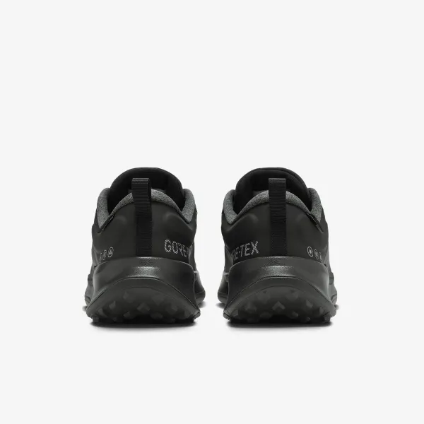 Nike WMNS JUNIPER TRAIL 2 GTX V2 