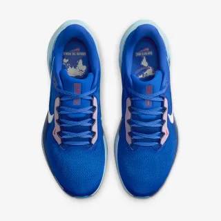 Nike AIR ZOOM PEGASUS 41 CM 